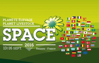 space-2016.jpg