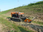 ferri icut3 (3).JPG
