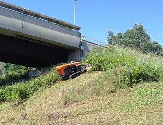foto.jpg