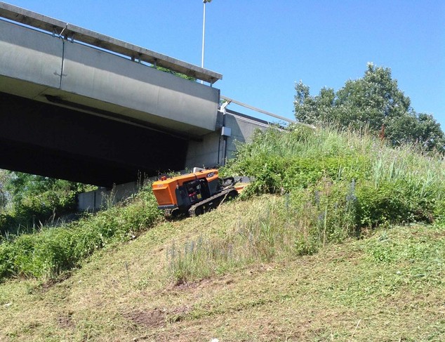 foto.jpg